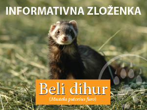 zlozenka
