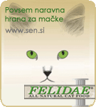 Felidae