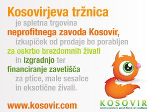 Kosovirjeva tržnica